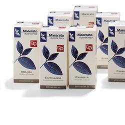 SCUTELLARIA TINTURA MADRE 50 ML - Farmacia Del Monaco