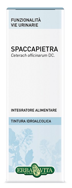 SPACCAPIETRA TINTURA IDROALCOLICA 50 ML EBV - Farmacia Del Monaco