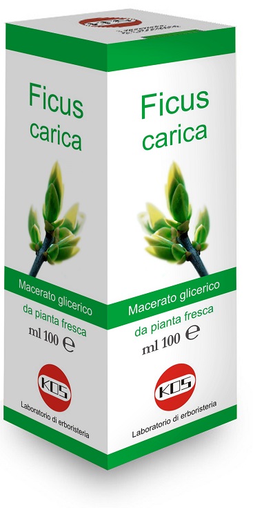 FICUS CARICA MACERATO GLICERICO 100 ML - Farmacia Del Monaco