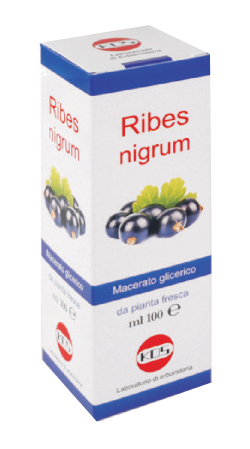 RIBES NIGRUM MACERATO GLICERICO 100 ML GOCCE - Farmacia Del Monaco