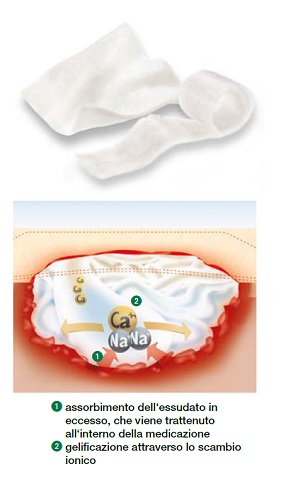 MEDICAZIONE STERILE IN ALGINATO DI CALCIO COMPRESSA SUPRASORB A ALTAMENTE ASSORBENTE 10X10 CM 10 PEZZI - Farmacia Del Monaco