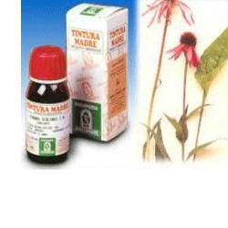 ECHINACEA 59 50ML TM - Farmacia Del Monaco