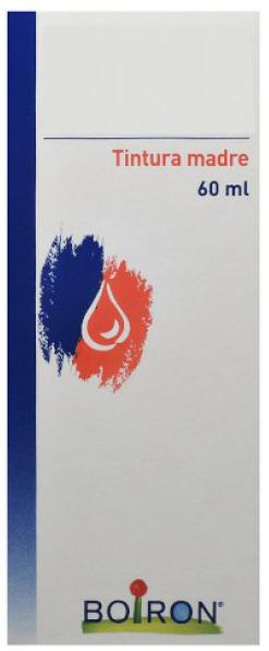 TARAXACUM TINTURA MADRE 60 ML - Farmacia Del Monaco