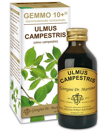 GEMMO 10+ OLMO CAMPESTRE 100 ML LIQUIDO ANALCOLICO - Farmacia Del Monaco
