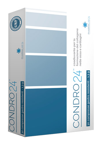 CONDRO24 30 COMPRESSE - Farmacia Del Monaco