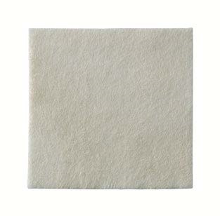 MEDICAZIONE BIATAIN ALGINATE AG ALGINATO CON ARGENTO 10X10CM 10 PEZZI - Farmacia Del Monaco