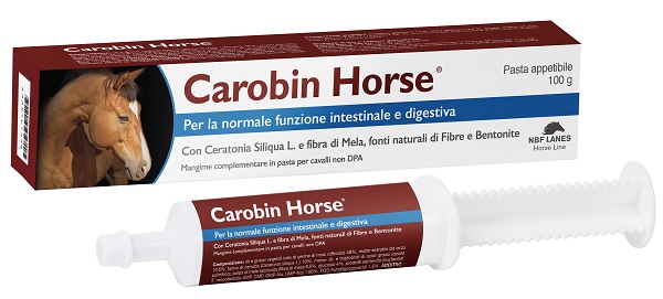 CAROBIN HORSE PASTA APPETIBILE SIRINGA 100 G - Farmacia Del Monaco