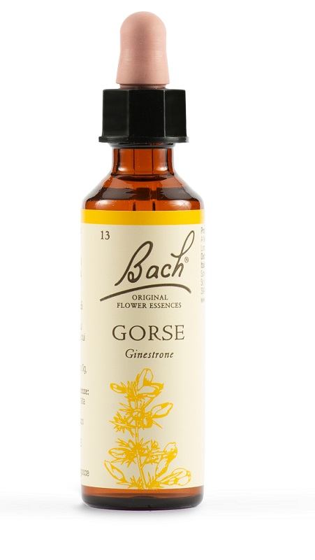 GORSE BACH ORIG 20 ML - Farmacia Del Monaco