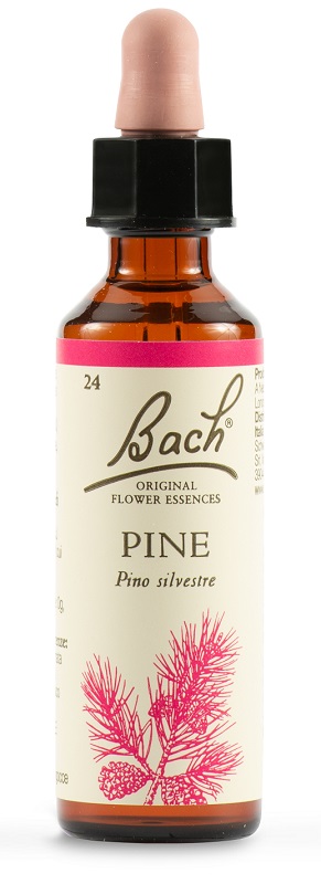 PINE BACH ORIG 20 ML - Farmacia Del Monaco