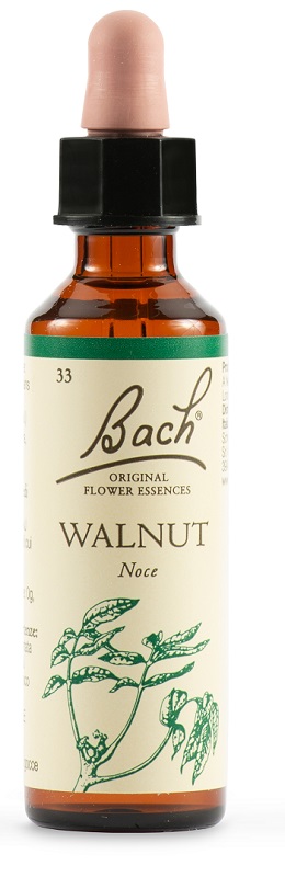 WALNUT BACH ORIG 20 ML - Farmacia Del Monaco
