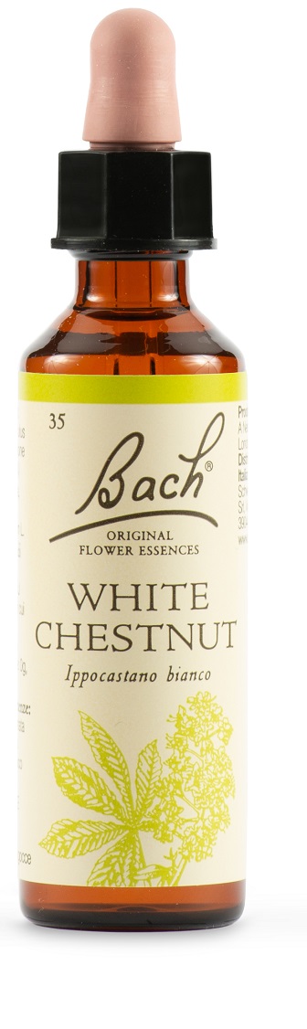 WHITE CHEST BACH ORIG 20 ML - Farmacia Del Monaco