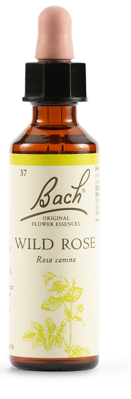 WILD ROSE BACH ORIG 20 ML - Farmacia Del Monaco