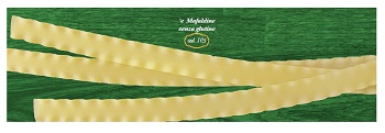 E MAFALDINE 500 G - Farmacia Del Monaco