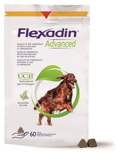 FLEXADIN ADVANCED CANE TUTTE LE TAGLIE 60 TAVOLETTE APPETIBILI - Farmacia Del Monaco
