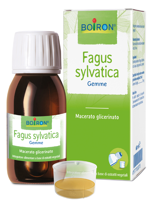 FAGUS SYLVATICA BOIRON MACERATO GLICERICO 60 ML - Farmacia Del Monaco