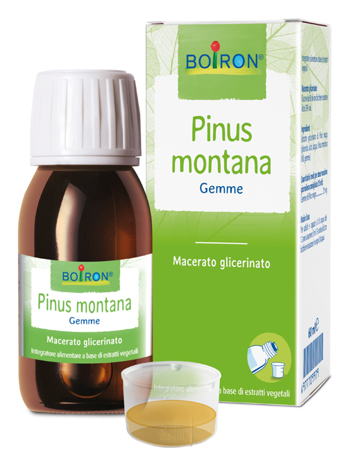 PINUS MONTANA BOIRON MACERATO GLICERICO 60 ML - Farmacia Del Monaco