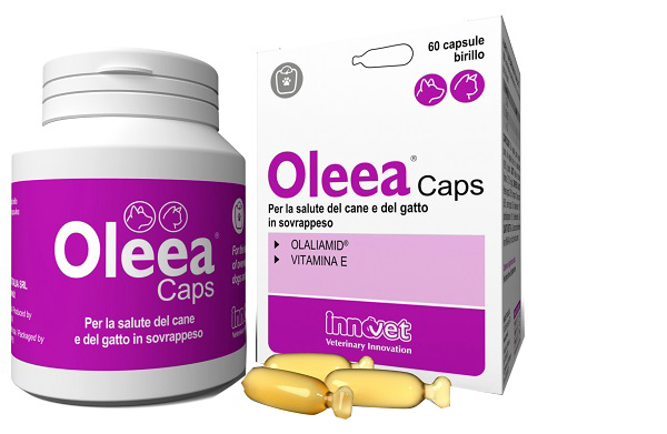 OLEEA CAPS 60 CAPSULE - Farmacia Del Monaco